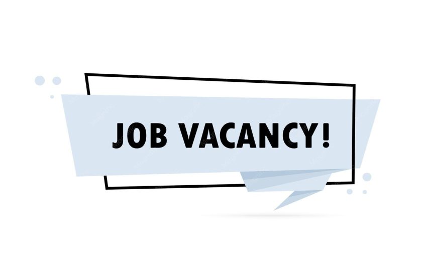 job-vacancy-origami-style-speech-bubble-banner-sticker-design-template-with-job-vacancy-text-vector-eps-10-isolated-white-background_399089-1410