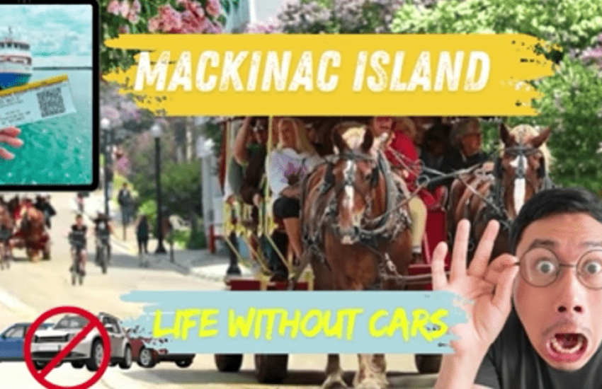 viber_image_2025-10-31_14-42-51-621