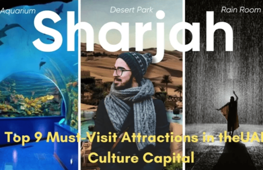 viber_image_2025-11-01_11-04-06-167