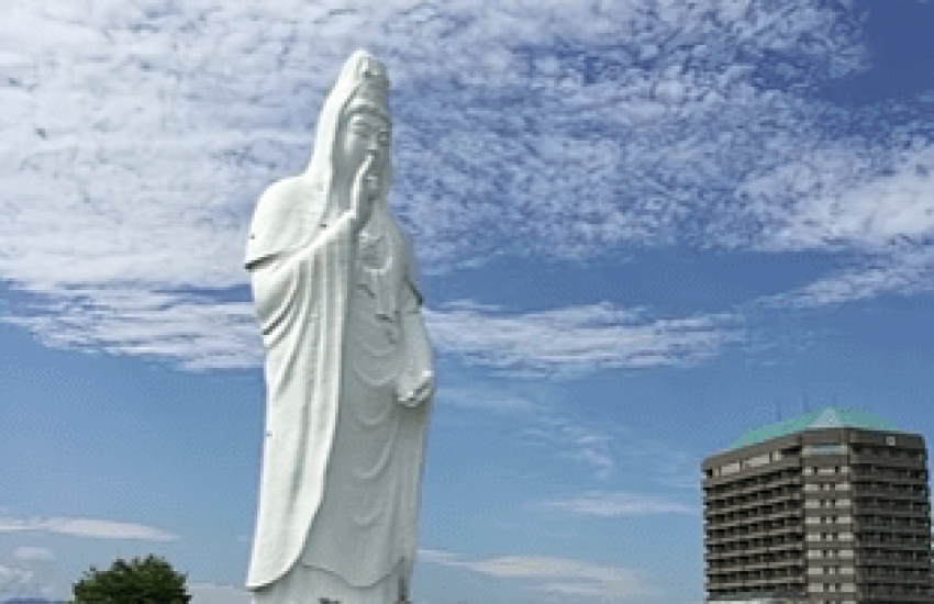 viber_image_2026-06-01_14-51-03-082
