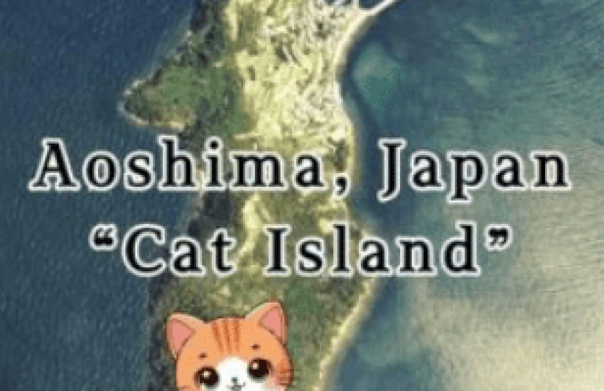 ၁၂